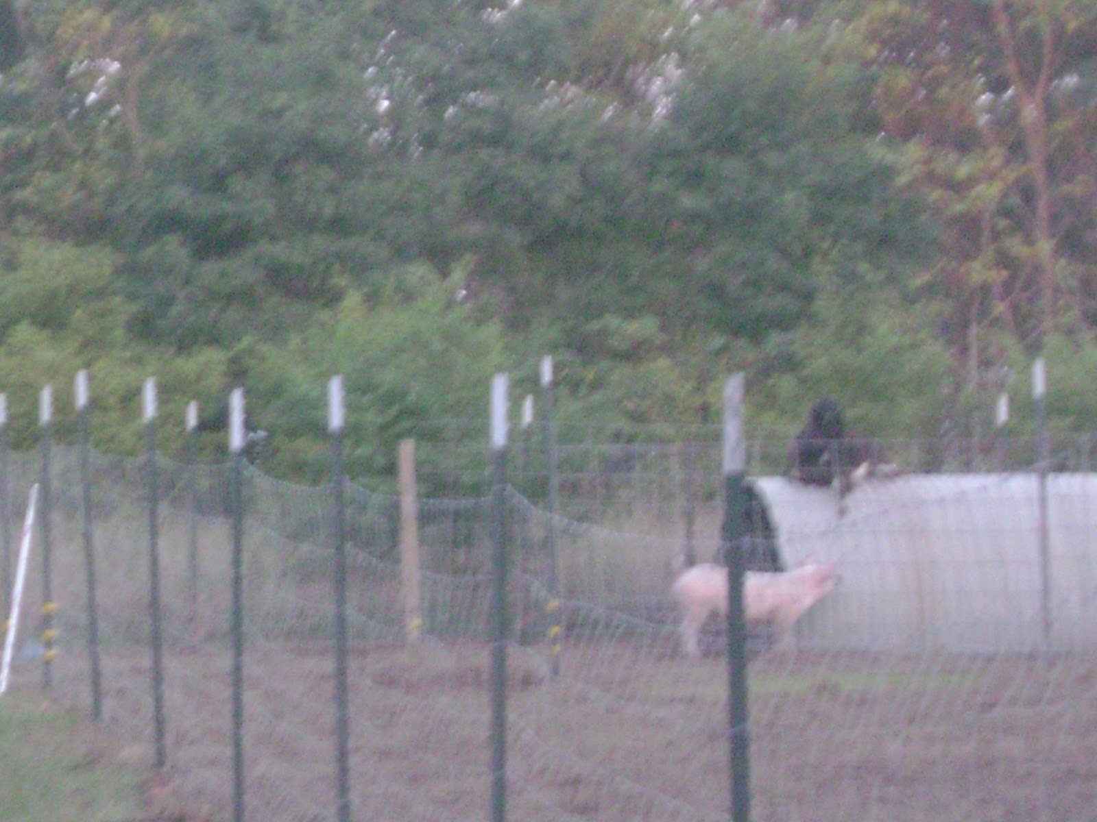 DSC06099 Image placeholder indicating a photo is needed, typically used in web design or content management systems to signal missing visual content.